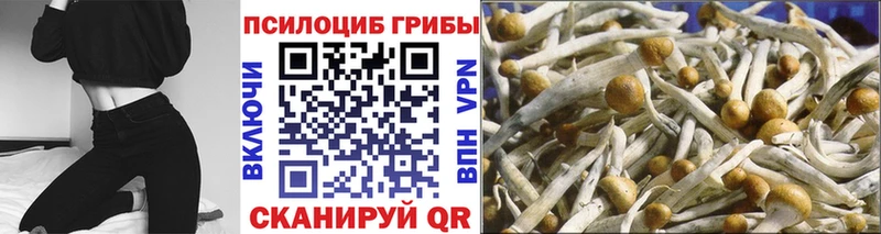 ОМГ ОМГ   цены наркотик  Байкальск  Псилоцибиновые грибы ЛСД 